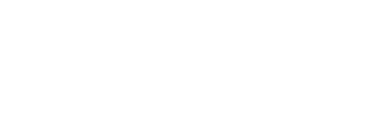 BizUp LLC